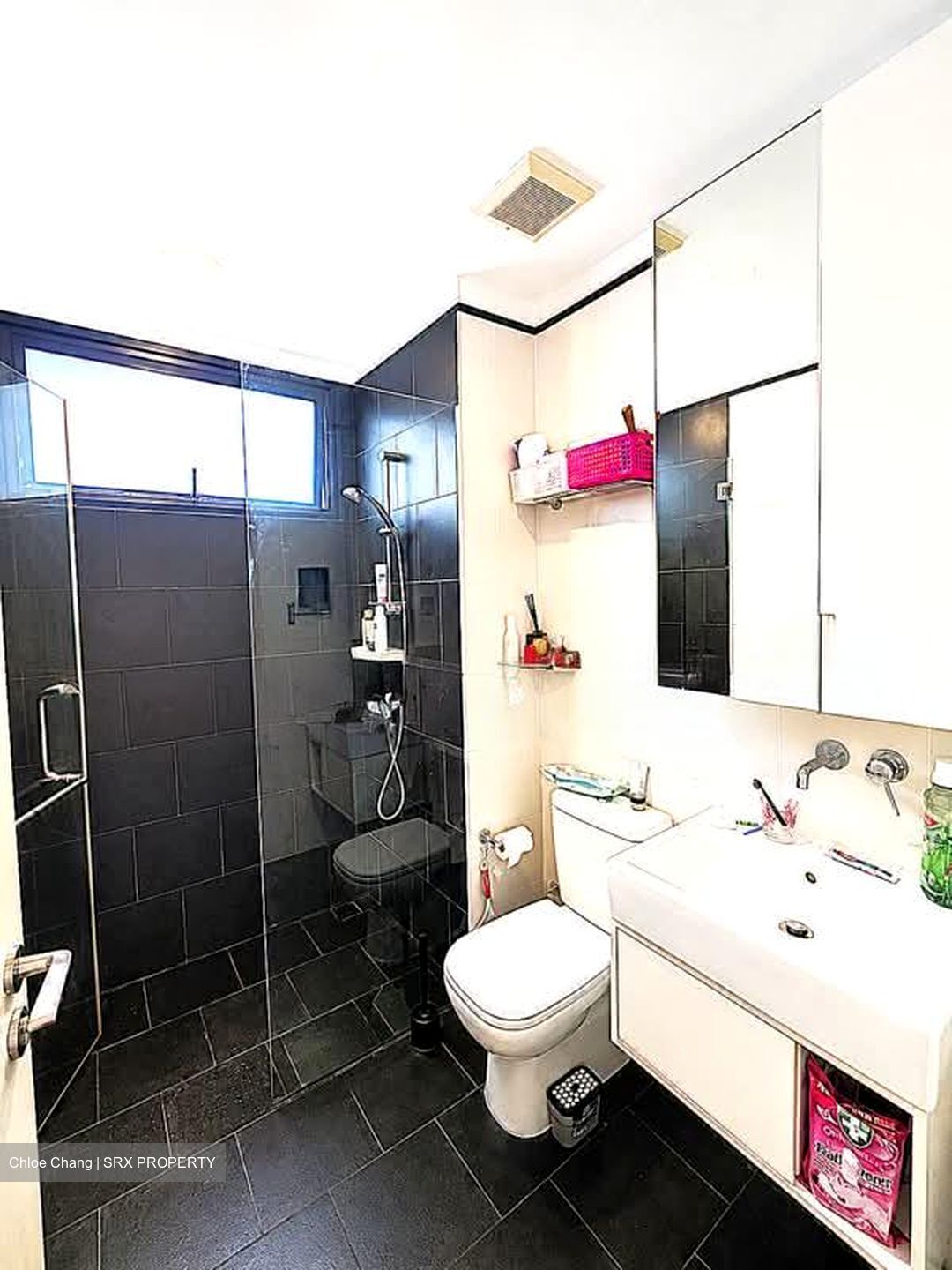 Village @ Pasir Panjang (D5), Condominium #581968641